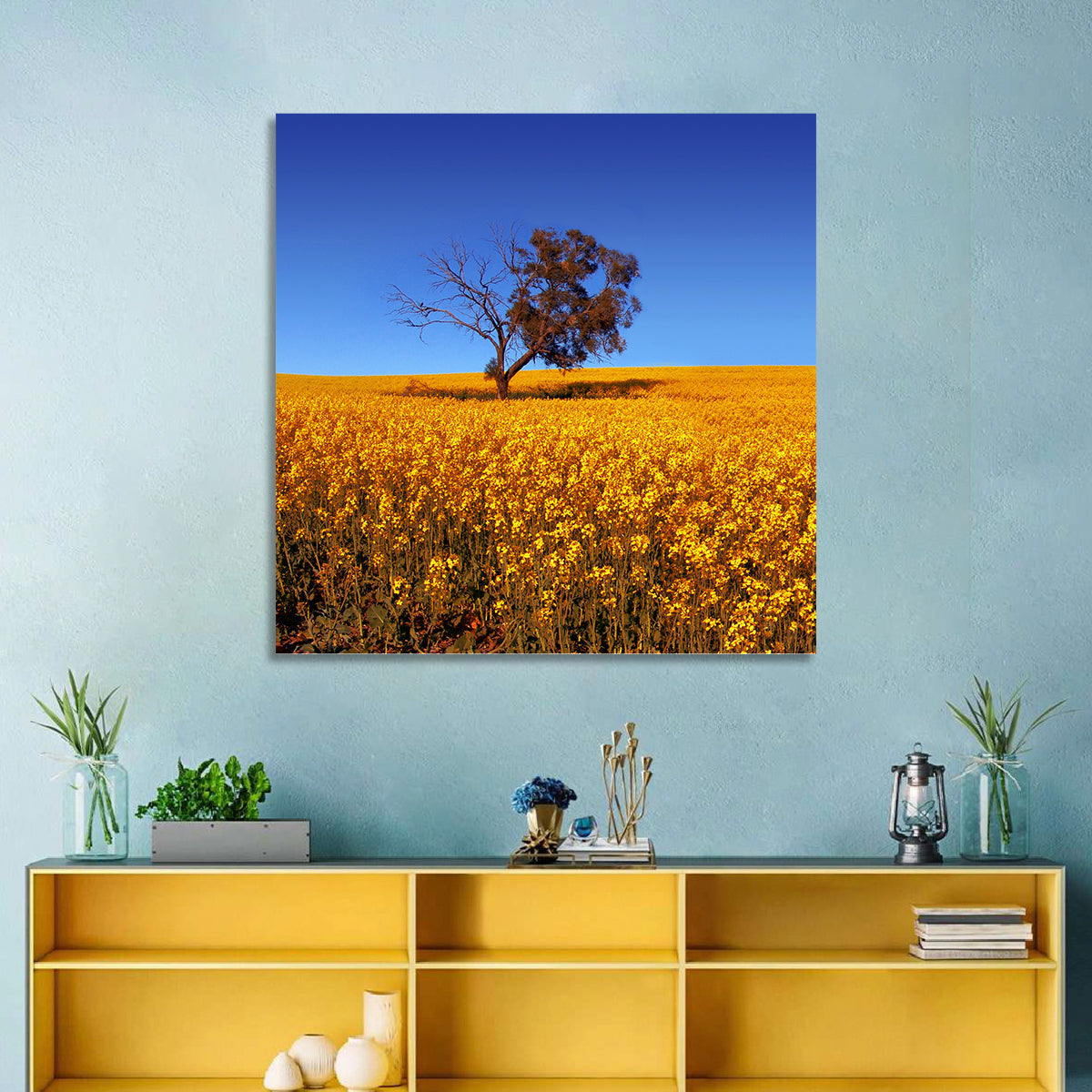 Canola Field with Lone Tree Wall Art in a room, square