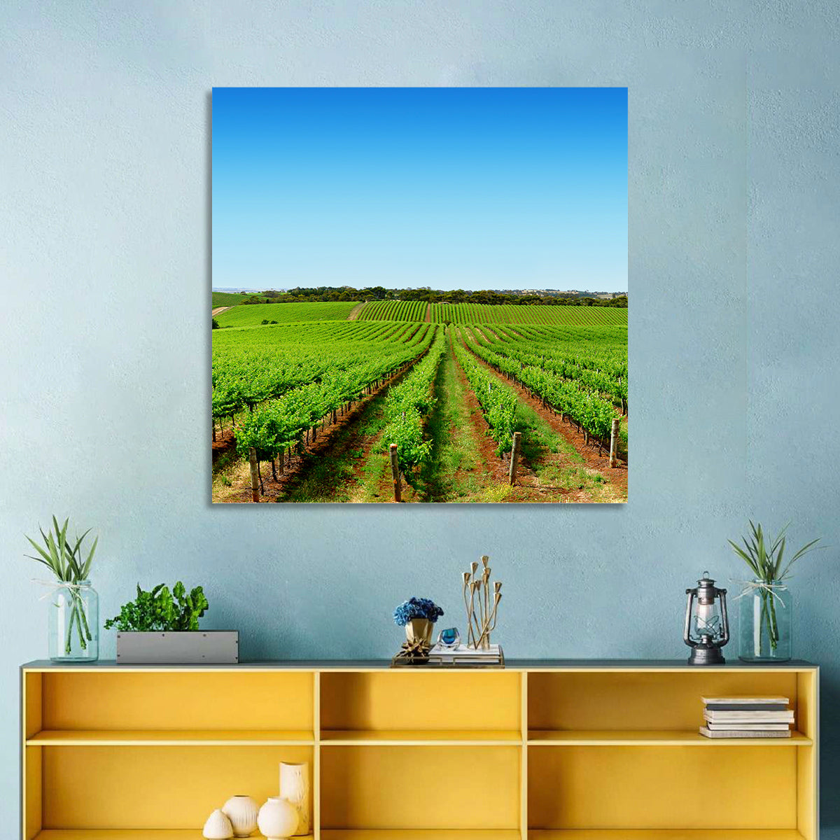 Sunlit Vineyard Rows Wall Art in a room, square