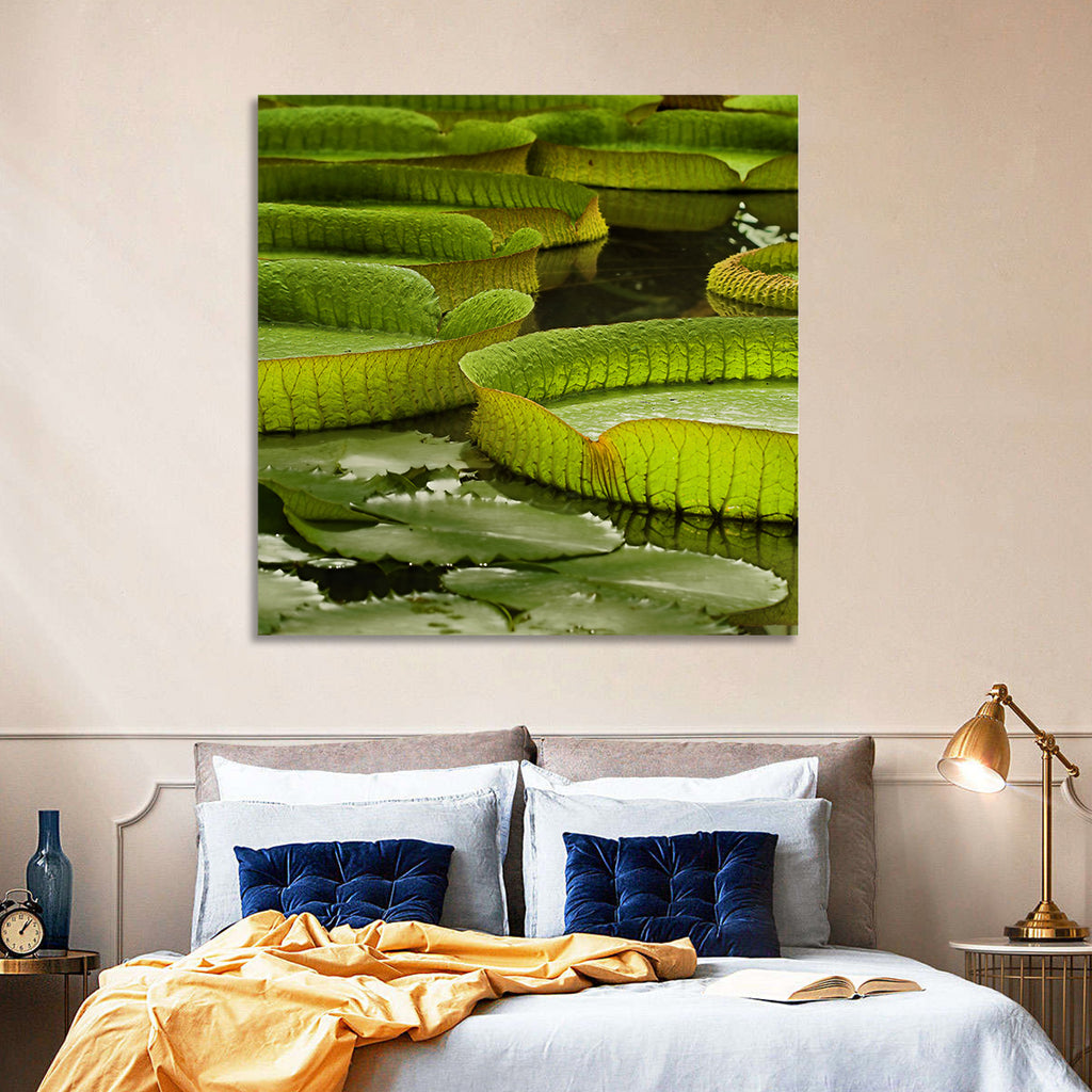 Giant Victoria Amazonica Lily Pads Wall Art