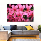 Pink Geranium Close Up Wall Art