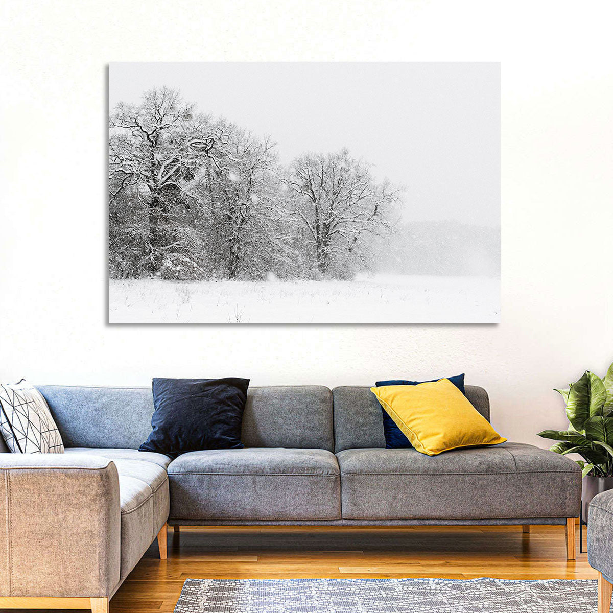 Snow-covered Trees in Fog Wall Art in a room, landscape