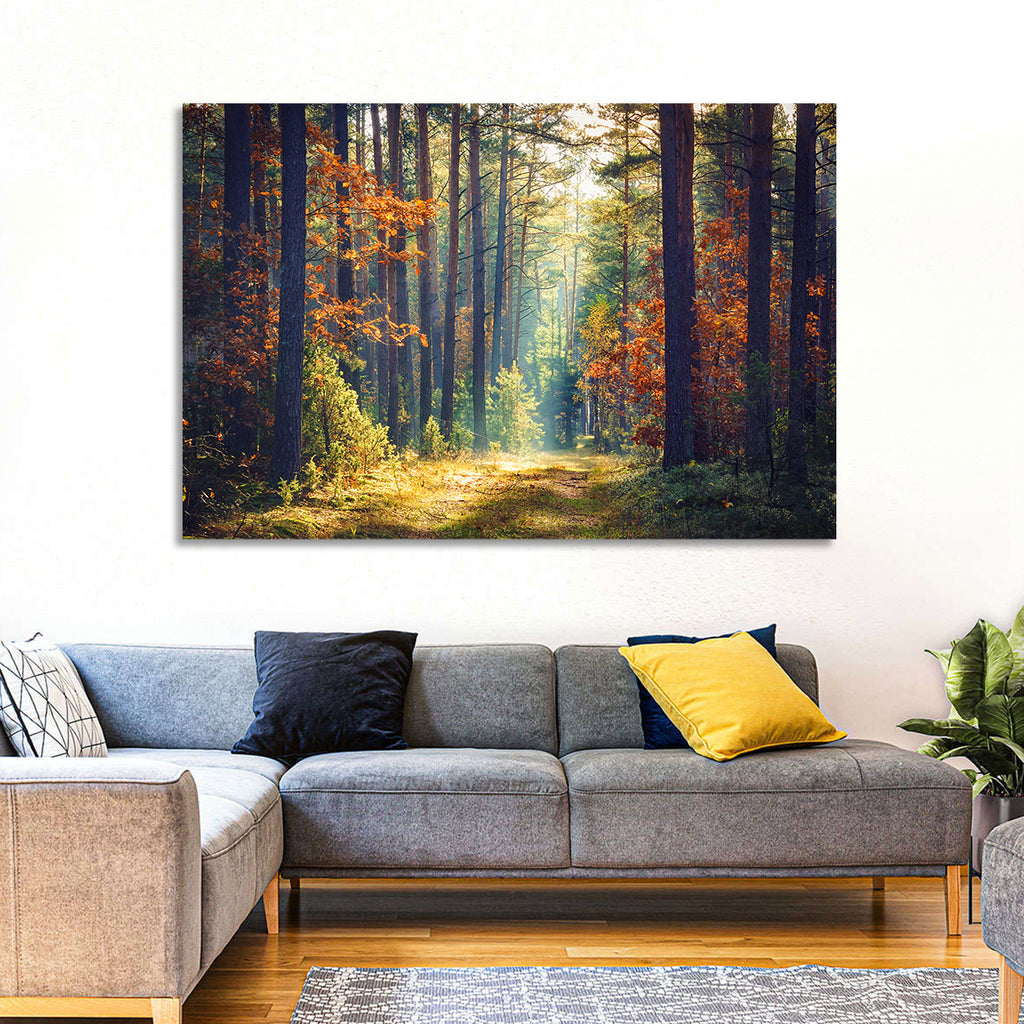 Sunlit Autumn Pine Forest Wall Art