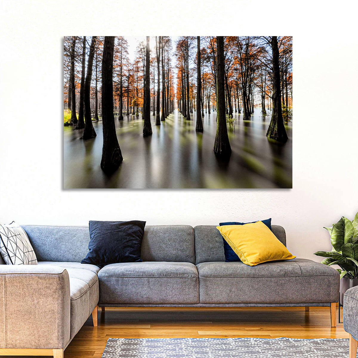 Autumn Flooded Cypress Forest Wall Art in a room, landscape