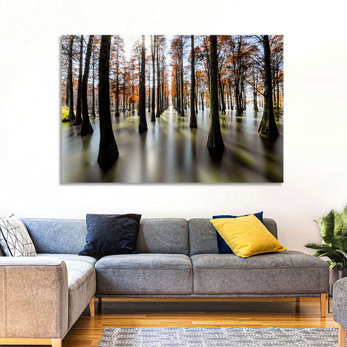 Autumn Flooded Cypress Forest Wall Art