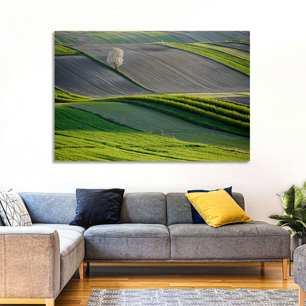 Springtime Polish Fields Wall Art