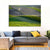 Wavy Polish Fields Wall Art