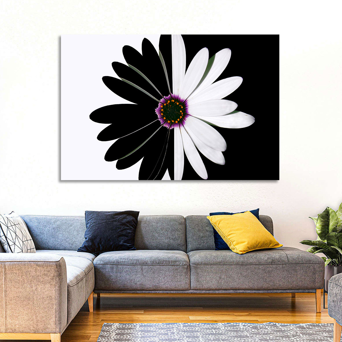 Black and White Daisy with Purple Ring Wall Art in a room, landscape