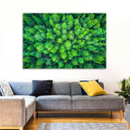 Whakarewarewa Forest Canopy Wall Art