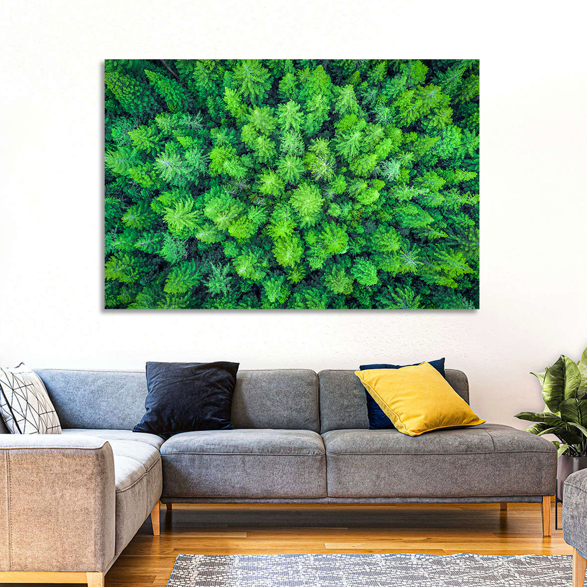 Whakarewarewa Forest Canopy Wall Art