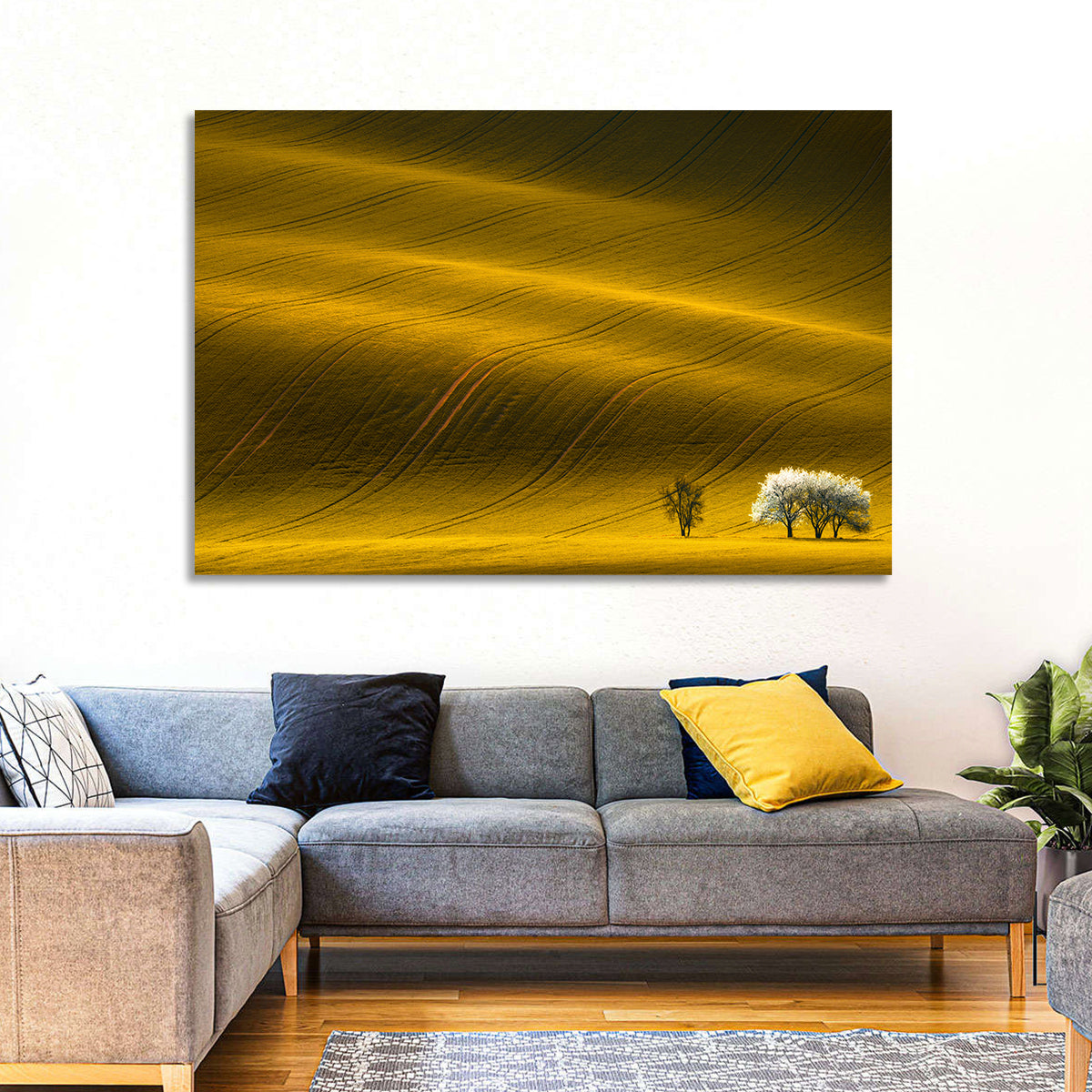 Golden Hour Rapeseed Field Wall Art