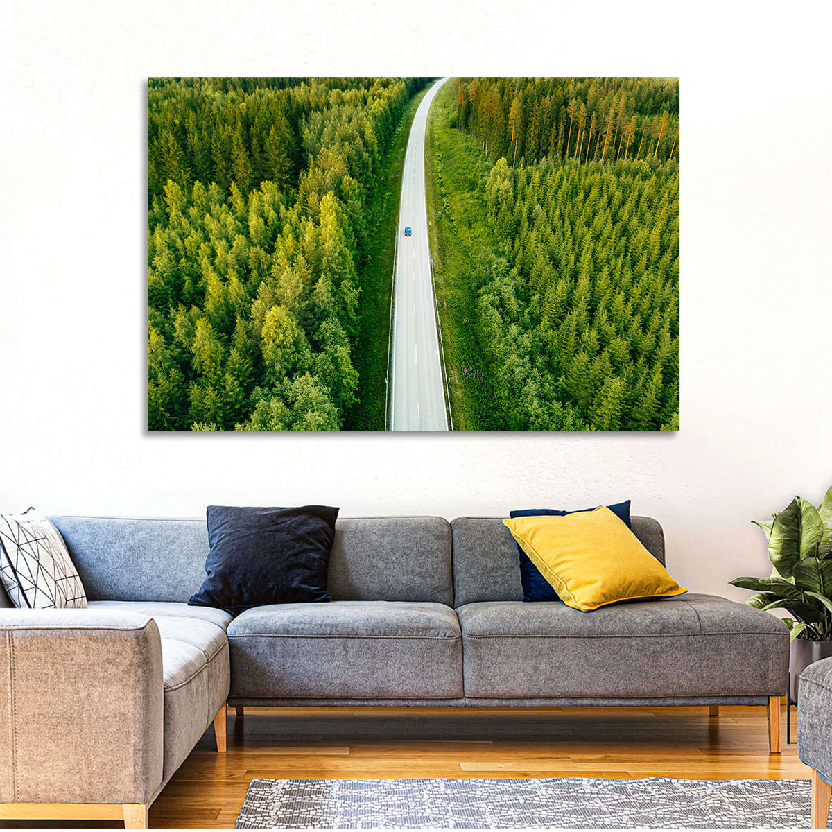 Blue Car on Forest Road Wall Art in a room, landscape