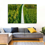 Blue Car on Forest Road Wall Art