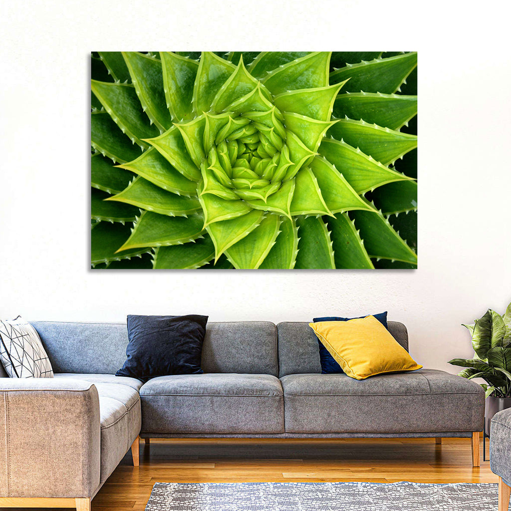 Spiral Aloe Succulent Wall Art