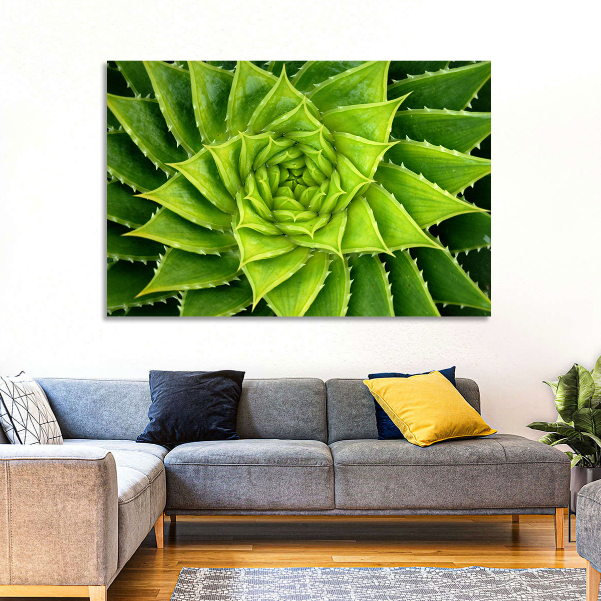 Spiral Aloe Succulent Wall Art in a room, landscape