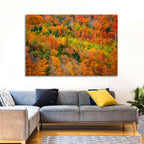 Vermont Autumn Mountain Forest Wall Art