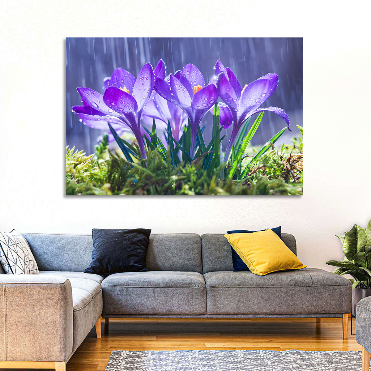 Rainy Purple Crocuses Wall Art in a room, landscape