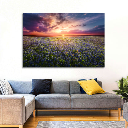 Bluebonnet Sunset Texas Wall Art