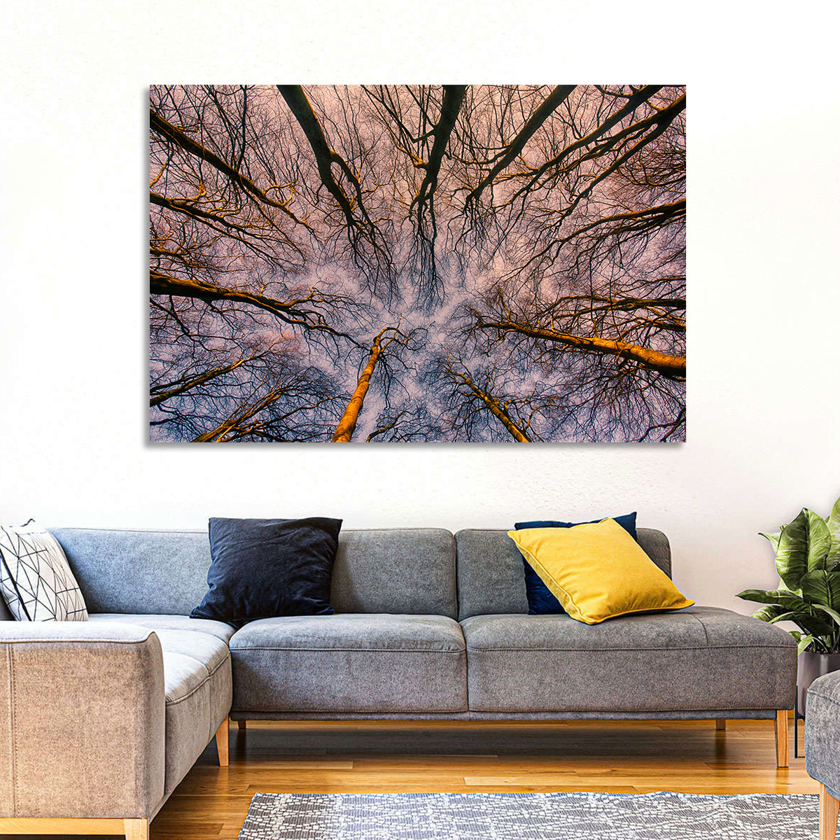 Misty Forest Canopy Wall Art