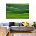 Rolling Emerald Wheat Fields Wall Art
