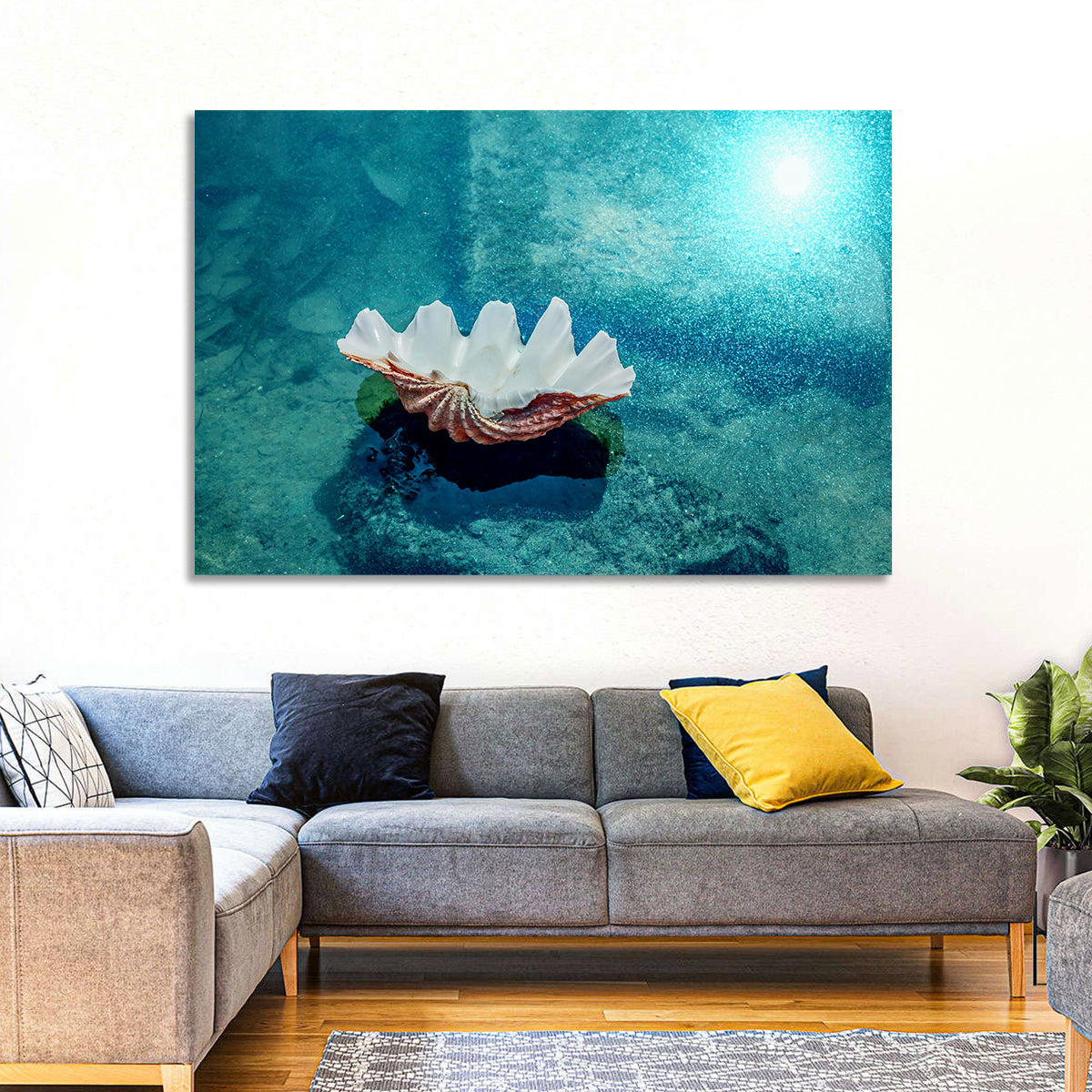 Giant Clam Shell Wall Art in a room, landscape