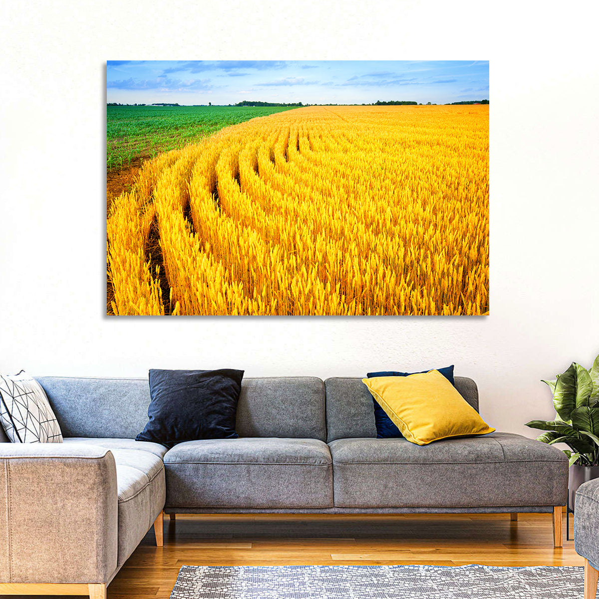 Summer Wheat Field with Curved Paths Wall Art