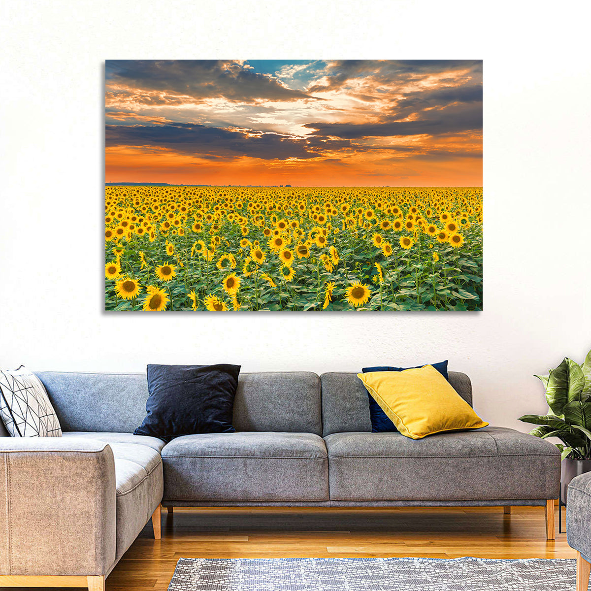 Golden Hour Sunflower Field Wall Art in a room, landscape