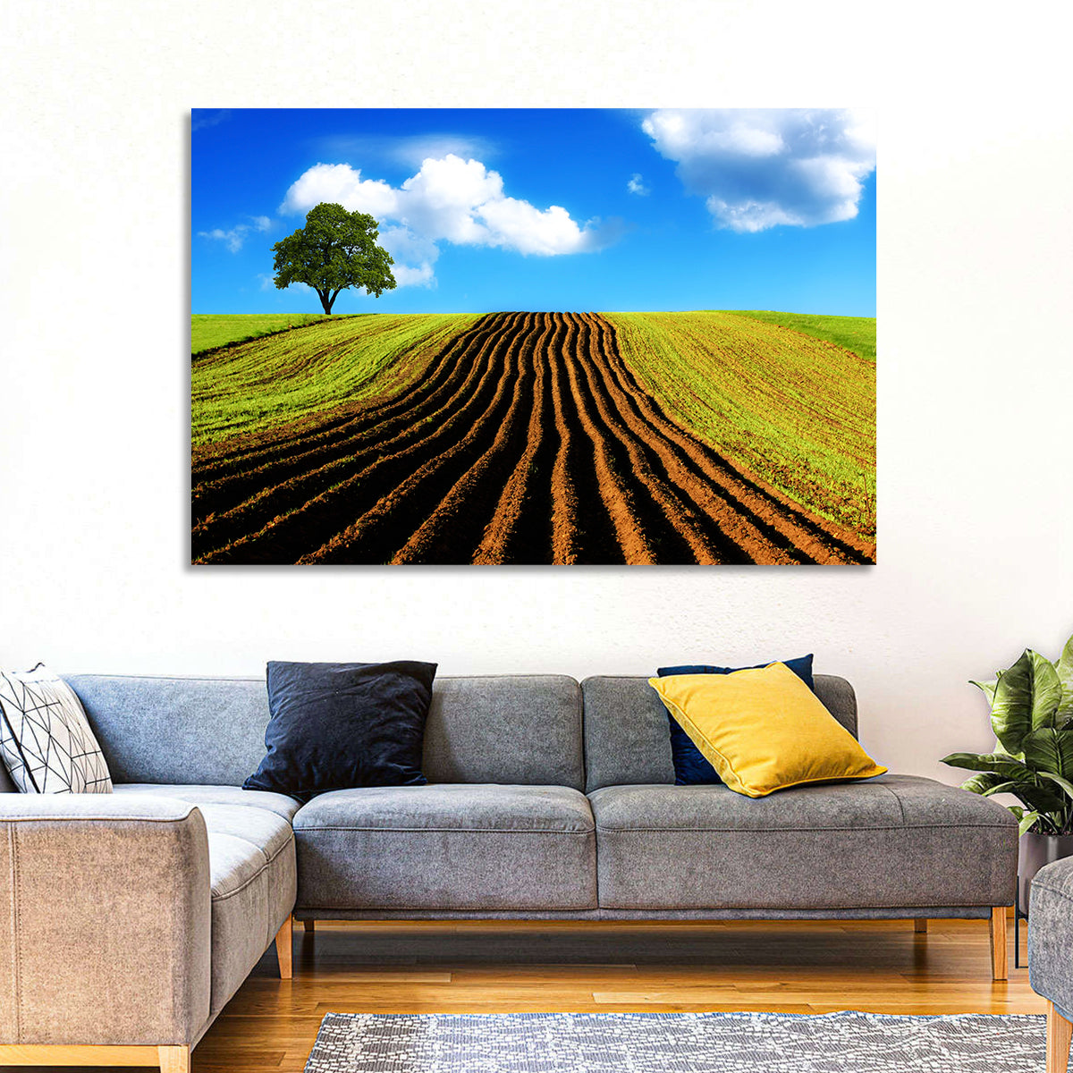 Plowed Field with Lone Tree Wall Art in a room, landscape