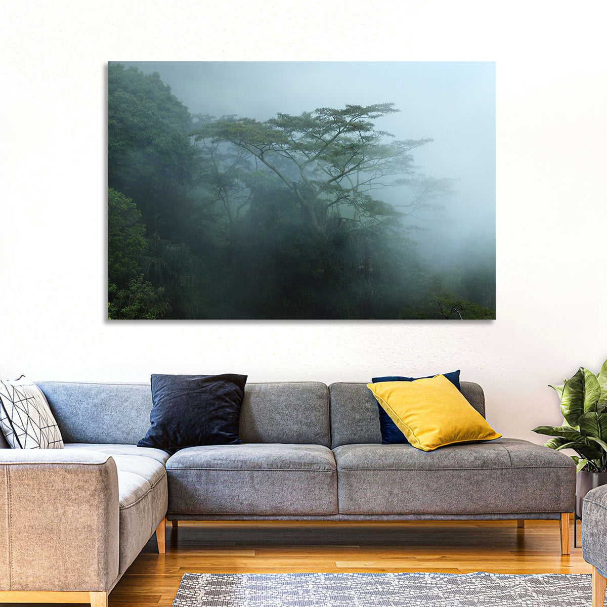 Misty Rainforest Canopy Wall Art in a room, landscape