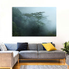 Misty Rainforest Canopy Wall Art