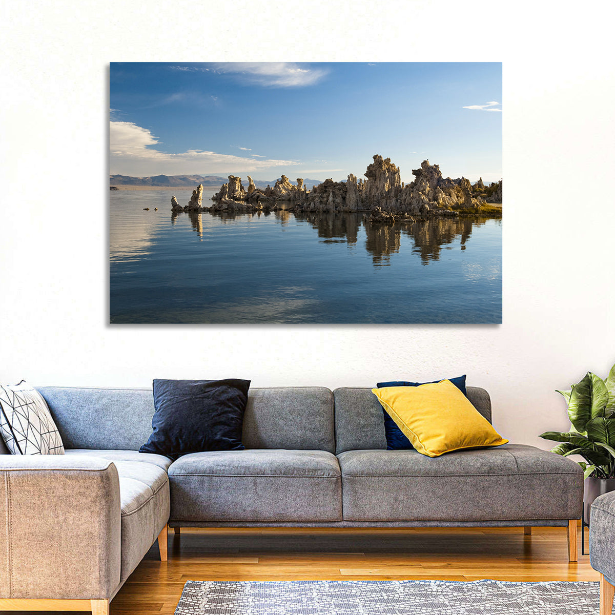 Mono Lake Reflections Wall Art in a room, landscape