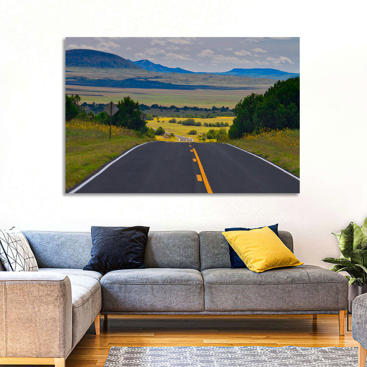 New Mexico Highway Wall Art in a room, landscape