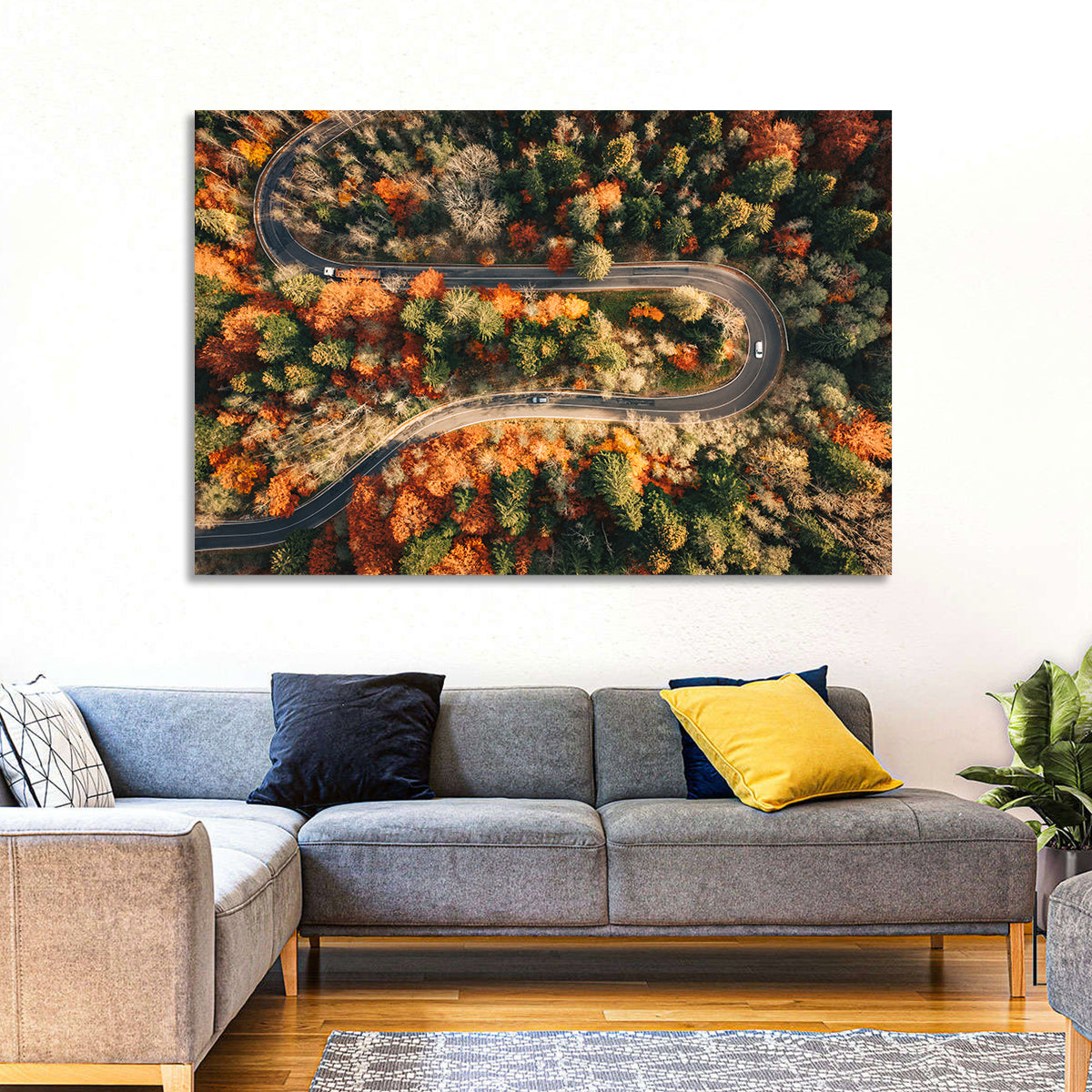 Aerial Winding Autumn Forest Road Wall Art