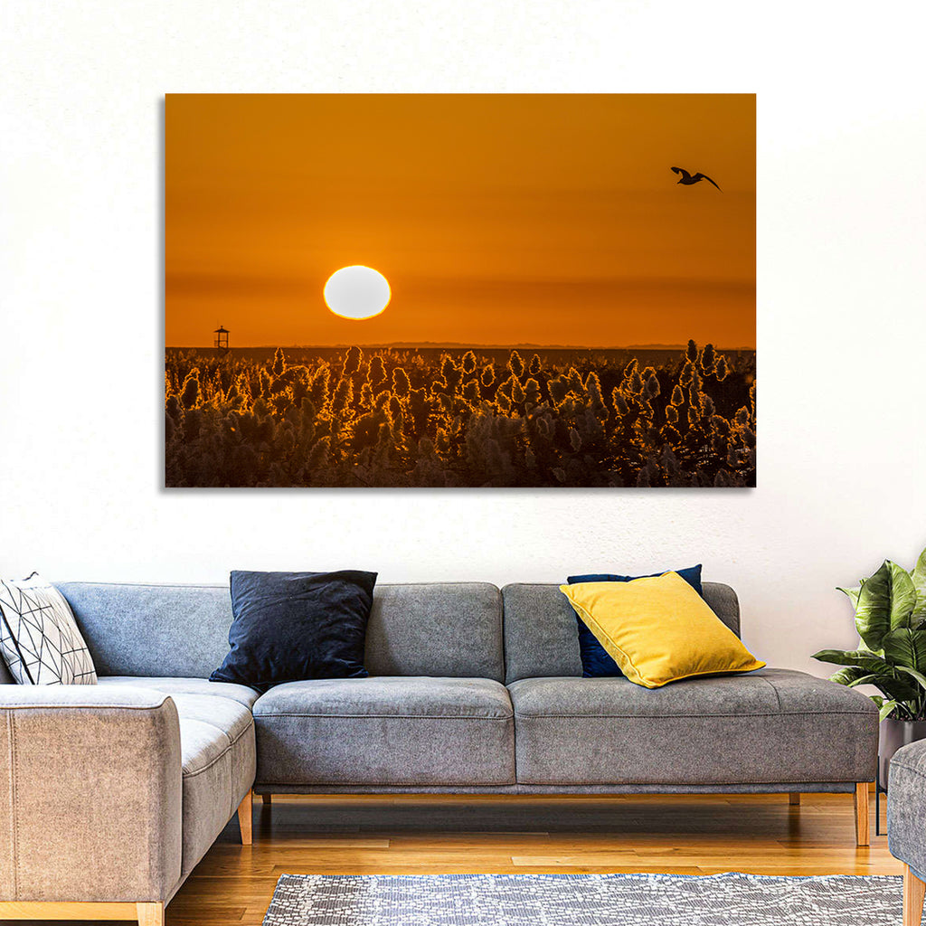 Golden Sunrise Over Reeds Wall Art