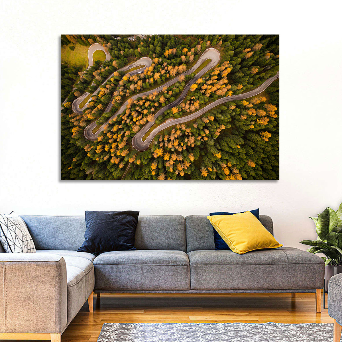 Aerial Curvy Forest Road Wall Art in a room, landscape