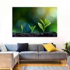 Seedling Growth Stages Wall Art