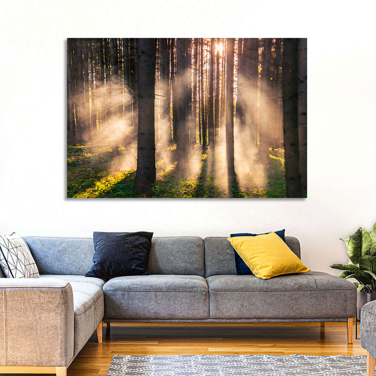 Sunrise Through Misty Forest Wall Art in a room, landscape