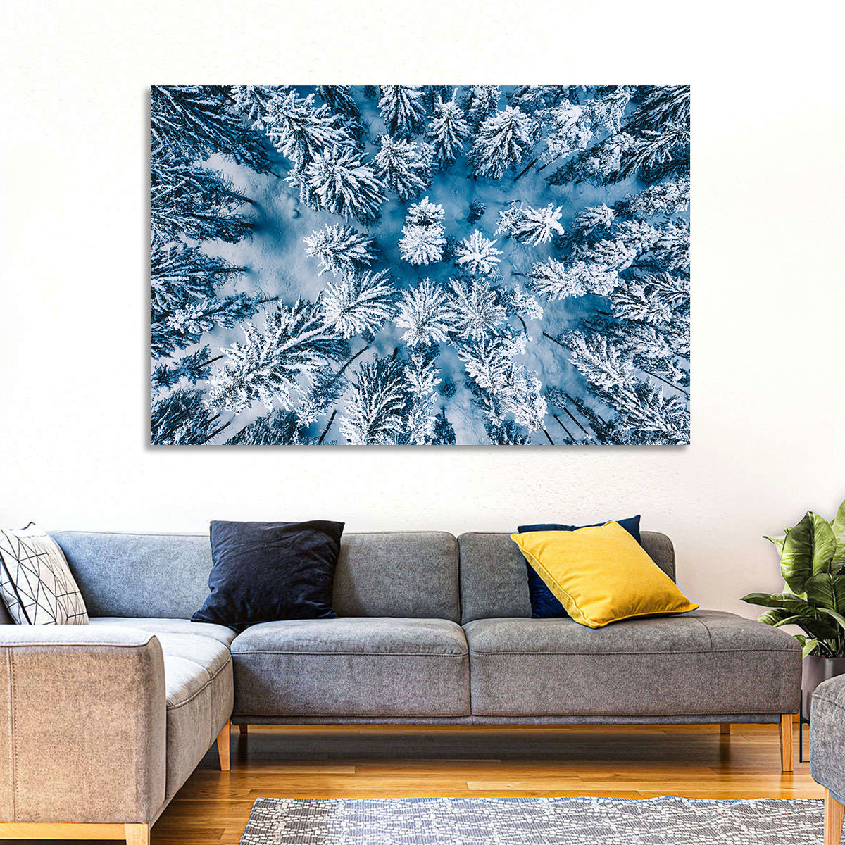 Aerial Snowy Evergreen Canopy Wall Art in a room, landscape