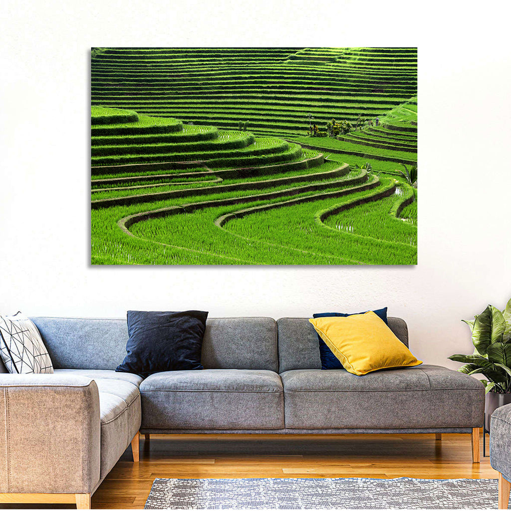 Lush Rice Terraces Wall Art