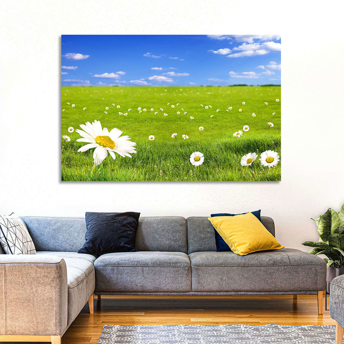 Spring Daisy Meadow Wall Art in a room, landscape