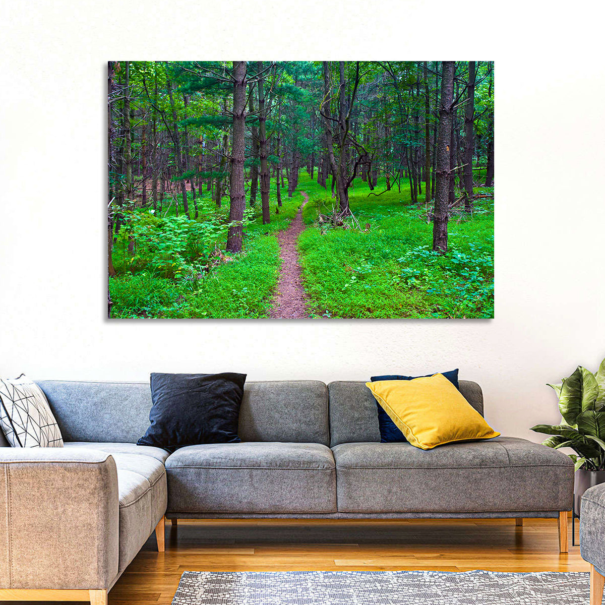 Lush Virginia Forest Trail Wall Art in a room, landscape