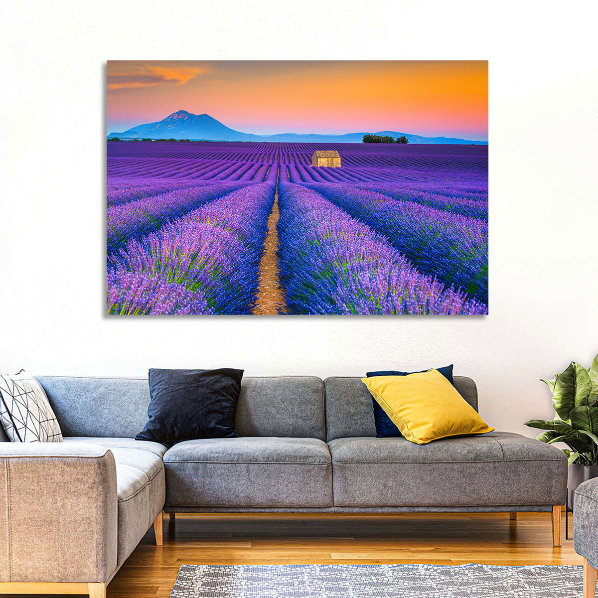 Valensole Lavender Fields at Sunset Wall Art