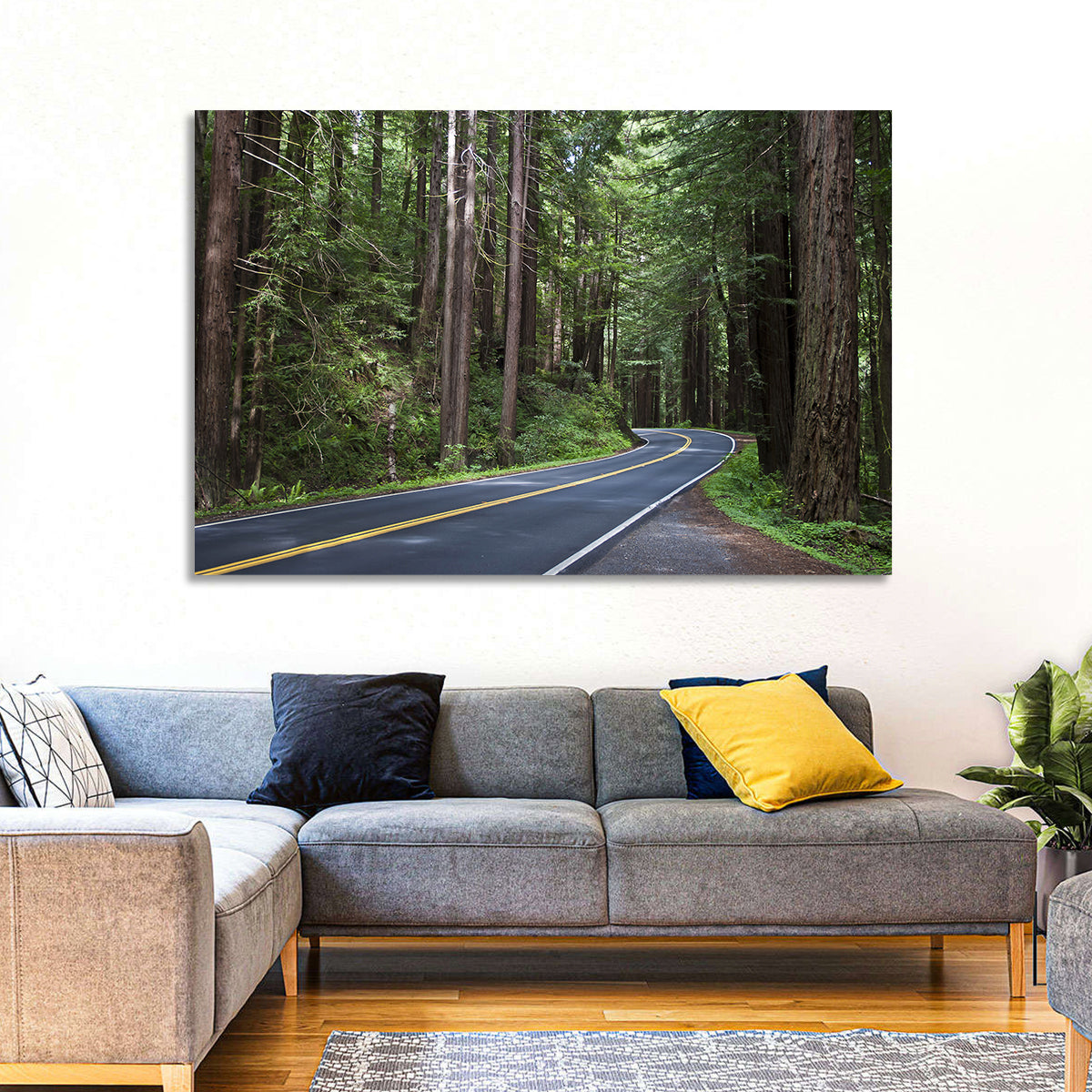 Winding Redwood Forest Road Wall Art in a room, landscape