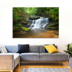 Blue Ridge Mossy Waterfall Wall Art