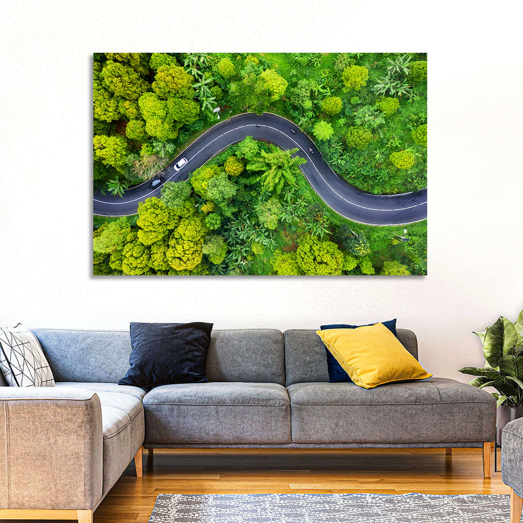 Winding Tropical Forest Road Wall Art