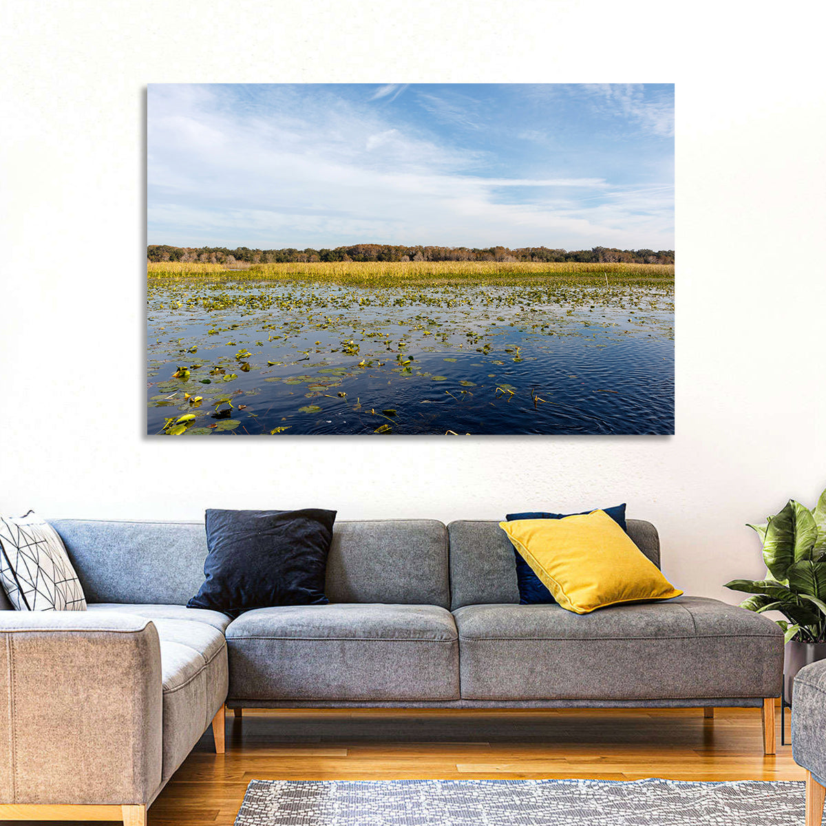 Cloudy Lake Toho Wall Art in a room, landscape