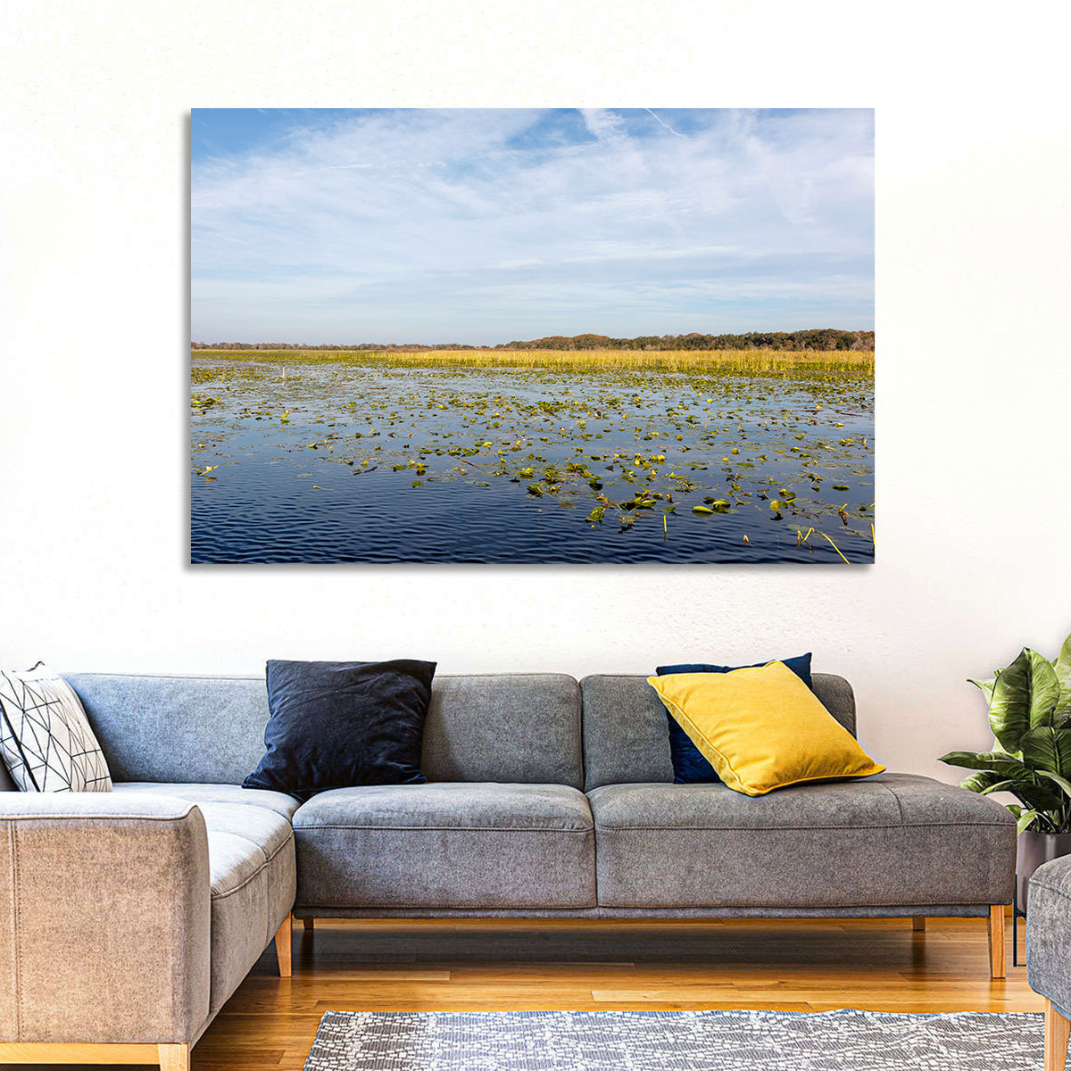 Lake Toho Lily Pads Wall Art in a room, landscape