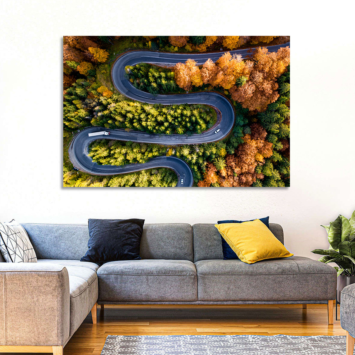Serpentine Forest Road Wall Art in a room, landscape