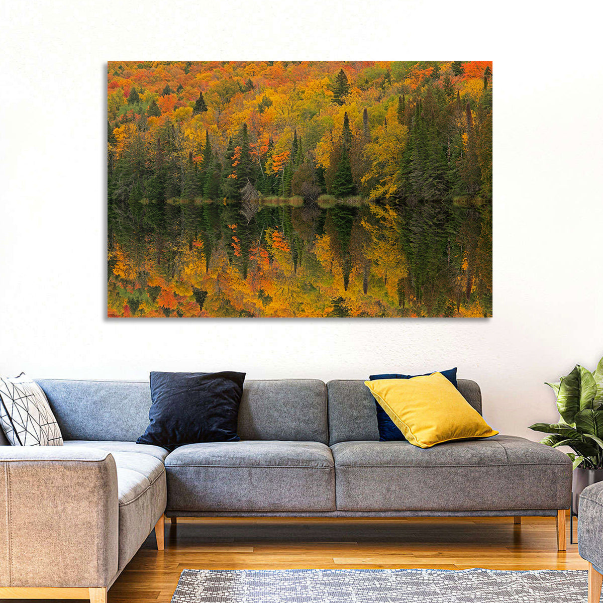 Ottawa National Forest Autumn Reflection Wall Art in a room, landscape