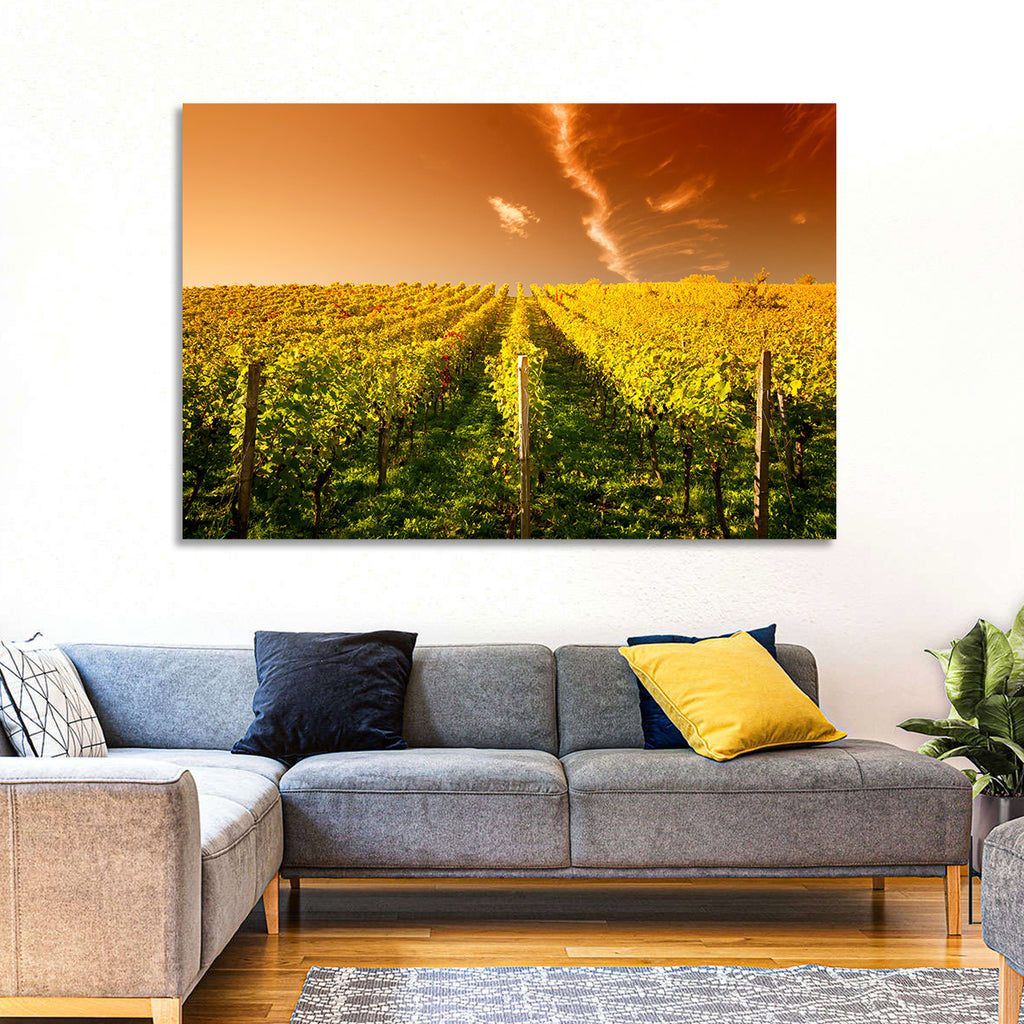 Golden Vineyard Sunset Wall Art