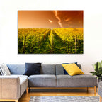 Golden Vineyard Sunset Wall Art